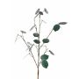 Rama decorativa Lunaria LOUDIAS, verde petróleo, 90 cm