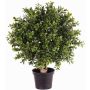 Árbol boj artificial TOM, tronco natural, exterior, verde, 35cm, Ø25cm