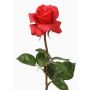 Rosa artificial AMELIE, rojo, 70cm, Ø9cm