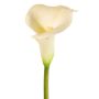 Calla artificial MIRAC, crema, 75cm, 12x15cm