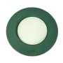 OASIS® Espuma para arreglos florales, floristería funeraria, base de madera Bioline, verde, 4,5 cm, Ø 37 cm