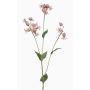 Rama artificial de silene PRANVERA con flores, rosa, 80 cm