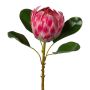 Flor artificial protea real KALEIN, rosa, 55 cm