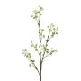 Rama decorativa gypsophila BRISLO, blanca, 65 cm
