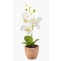 Orquídea artificial Phalaenopsis LEONISA en maceta de terracota, blanca, 20 cm