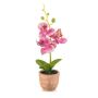 Orquídea artificial Phalaenopsis LEONISA en maceta de terracota, rosa, 20 cm