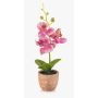 Orquídea artificial Phalaenopsis LEONISA en maceta de terracota, rosa, 20 cm