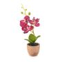 Orquídea artificial Phalaenopsis LEONISA en maceta de terracota, fucsia, 20 cm