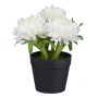 Flor artificial Capillaria GLOMST en maceta decorativa, blanca, 14 cm