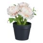 Flor artificial Capillaria GLOMST en maceta decorativa, melocotón, 14 cm