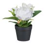 Flor artificial Rosa BRALDER en maceta decorativa, blanca, 14 cm