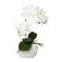 Orquídea Phalaenopsis textil GINERT, maceta de cerámica, raíces, blanca, 35 cm