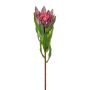 Flor decorativa protea real WANBA, lila, 50 cm