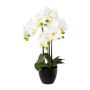 Orquídea Phalaenopsis artificial UKERNA en maceta de resina, blanca, 55 cm