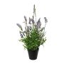 Flor decorativa lavanda SMORLI en maceta decorativa, morada, 50 cm