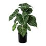 Planta artificial Anthurium KURMA, verde y blanco, 35 cm