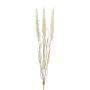 Hierba artificial para limpiar lámparas ALOGUI, ramita, panículas, beige, 50cm