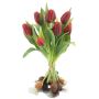 Ramo de tulipanes artificiales LONA con bulbos, rojo-negro, 35 cm, Ø 25 cm
