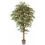Ficus Benjamini artificial LINETTE, troncos naturales, verde-blanco, 150cm - Fabricado en Italia