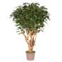 Decoración Ficus Benjamini MICHELE, tronco real, verde, 200 cm - Fabricado en Italia