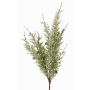 Rama de enebro artificial ALEKO con bayas, gris-verde, 50cm
