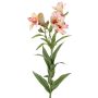 Ramita decorativa de alstroemeria AUBERTA, rosa-rosa-amarilla, 75 cm, Ø 6 cm