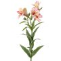 Ramita decorativa de alstroemeria AUBERTA, rosa-fucsia-amarilla, 75cm, Ø6cm