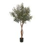 Olivo artificial GÖTZIS, frutos, troncos reales, 165 cm