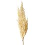 Rama decorativa de sorgo WADDY con espigas, color crema, 80 cm