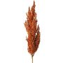 Rama decorativa de sorgo WADDY con espigas, color naranja, 80 cm