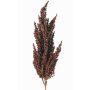 Rama decorativa de sorgo WADDY con espigas, rojo oscuro, 80cm