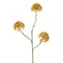 Rama decorativa Allium ALIKIO, naranja, 65cm, Ø7cm