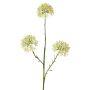 Rama decorativa Allium ALIKIO, blanca, 65cm, Ø7cm