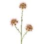 Rama de Allium artificial ZEBU, rosa, 65cm, Ø7cm