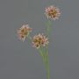Rama de Allium artificial ZEBU, rosa, 65 cm, Ø 6 cm
