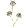 Rama decorativa Allium ALIKIO, azul, 65cm, Ø7cm