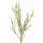 Rama decorativa de trébol artificial EUTIN con flores, blanco-verde, 80cm, Ø1,5-2cm
