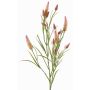 Rama decorativa de trébol artificial EUTIN con flores, rosa palo-verde, 80cm, Ø1,5-2cm