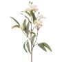 Rama de eucalipto artificial WANARA con flores, blanco, 100 cm