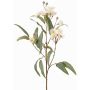 Rama de eucalipto artificial WANARA con flores, blanco, 100 cm