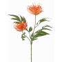 Plantas artificiales Rama de roble VULKINTA con flores, naranja, 75cm, Ø9-11cm