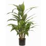 Cordyline artificial ORMOS, verde, 80cm