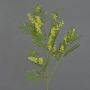 Rama decorativa de mimosa BRANAU con flores, amarilla, 75 cm