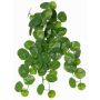 Planta artificial Stephania erecta ANOGIA en varilla, verde, 50cm