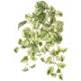 Planta artificial Efeututen colgante SITIA, varilla, verde-blanco, 50 cm