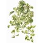 Planta artificial Efeututen colgante SITIA, varilla, verde-blanco, 50cm