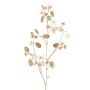 Rama de lunaria de satén artificial PINDUS con flores, crema y dorado, 85 cm