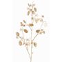 Rama de lunaria de satén artificial PINDUS con flores, crema y dorado, 85cm