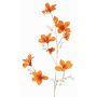 Rama decorativa de terciopelo GAZERA, naranja-dorado, 115cm