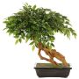 Bonsái ficus benjamina artificial ALMIROS en maceta de barro, 60 cm